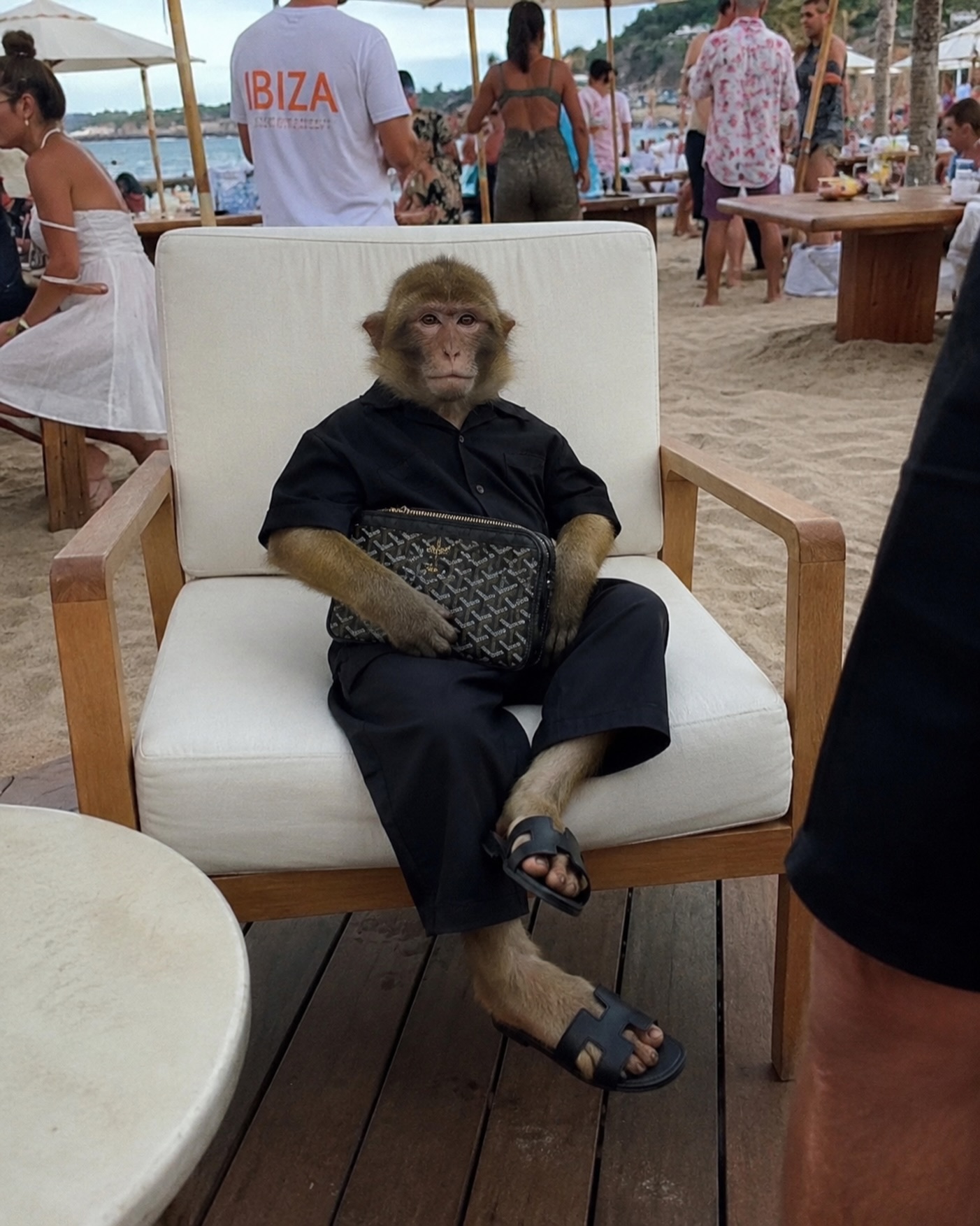 Rich Monkeys Club — $RMC
